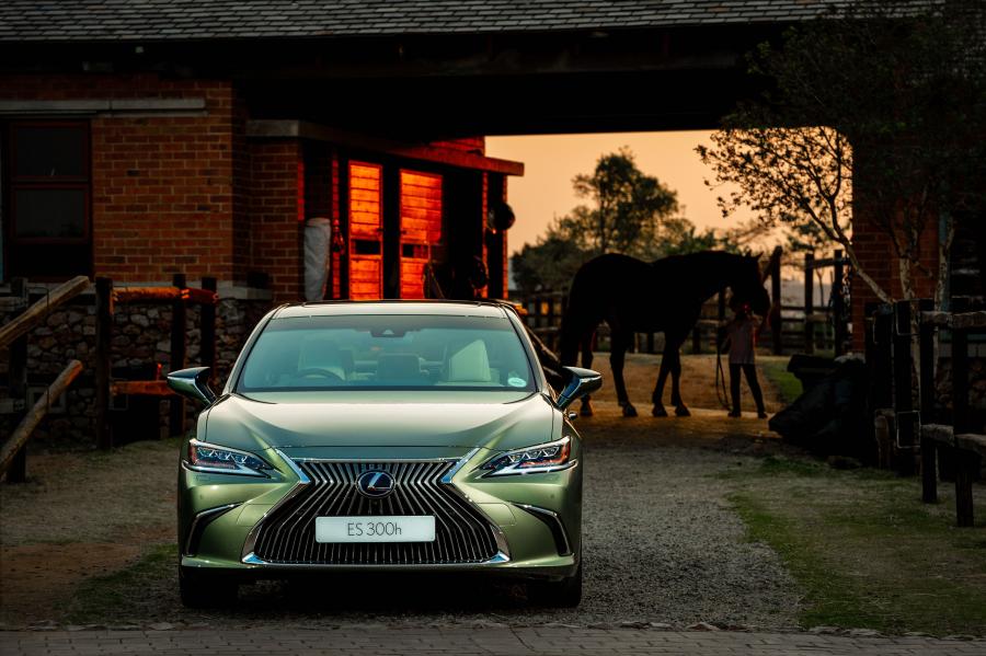  Lexus ES300h 2018 года  (ZA) (фото 17 из 45)